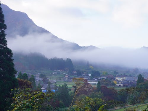 五ヶ瀬町鞍岡地区の雲海の朝