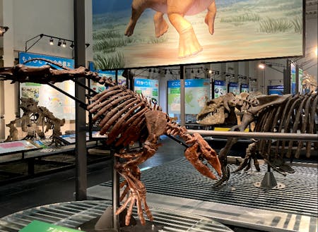 町内には動物化石博物館もあります