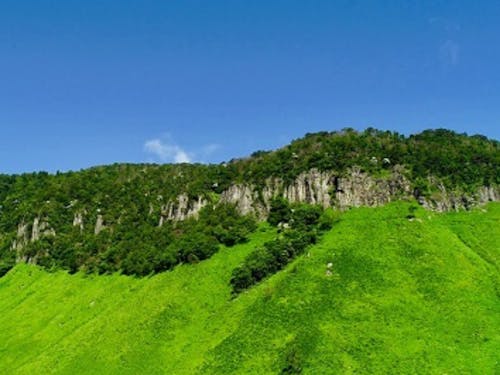 山も近く、自然に囲まれた環境があります
