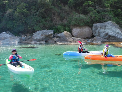 夏のアクティビティもたくさんあります
