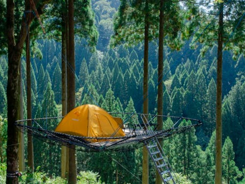 ツリーピクニックアドベンチャー池田#担当オススメスポット