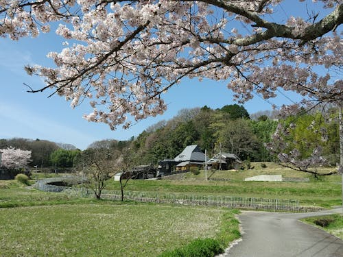 都会のすぐそばに広がる美しい里山・農村地域