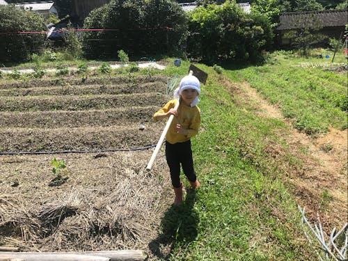 小さい農はこんな感じ?!