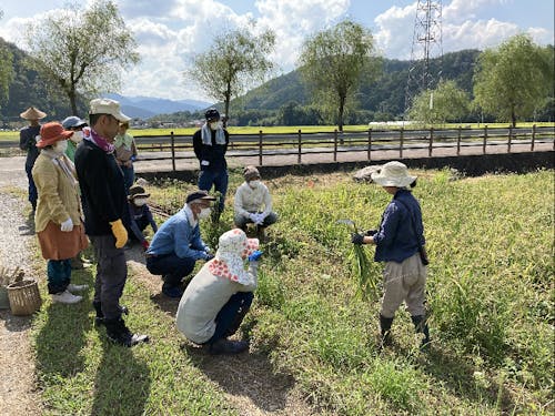 作業をしながら農あるくらしの様々な知識を得られます。