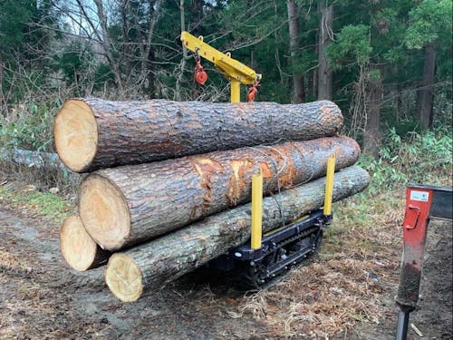 質のいい材が山から出てきます
