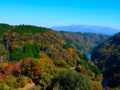 “九州のグランドキャニオン”と呼ばれる蘇陽峡。山都町には絶景がたくさんあります。