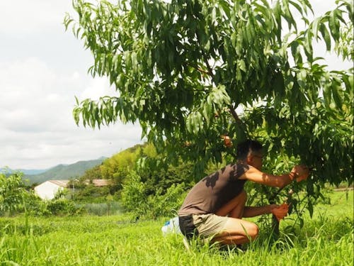農業にチャレンジしている先輩移住者を訪ねます