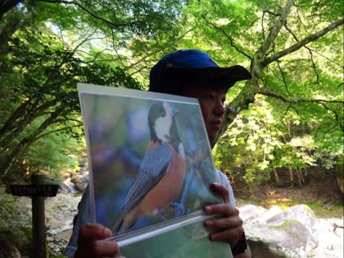 協力隊でありネイチャーガイドでもある白井さんと渓谷を散策し、自然の中で働き暮らす様子を体感