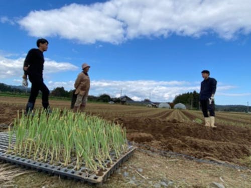 地元農家さんとの農業体験（遊ぶ広報の様子）