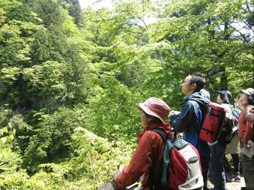 芦津渓谷の眺望