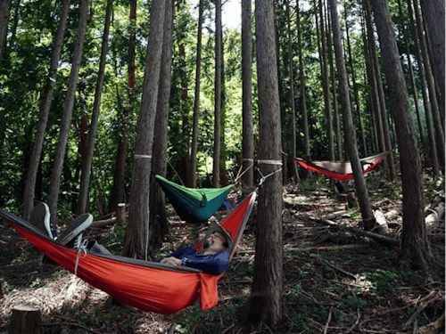 ハンモック体験