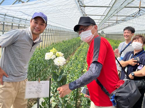 高品質なトルコギキョウを作る工夫は圧巻です!