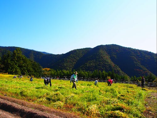 急傾斜地農法で育った新鮮なお野菜が沢山食べれます♪