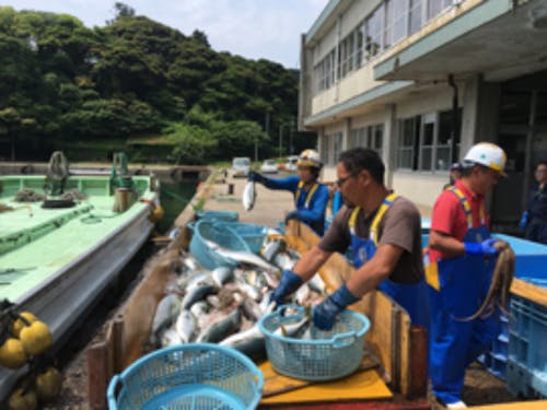 休みの日は市場で魚を仕入れ