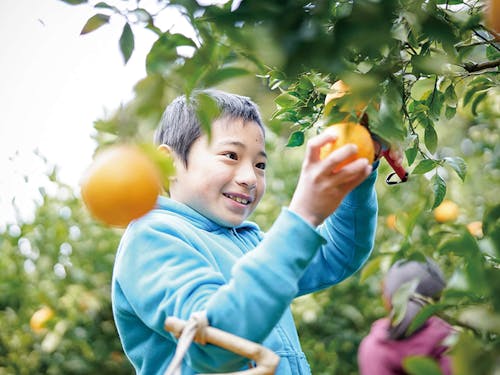 特産品は、みかんの他、長崎和牛やエビ、カキ、かんころ餅なども(写真:繁延あづさ)