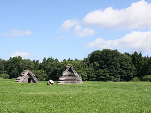 自然の中でアクティブに活動してください!