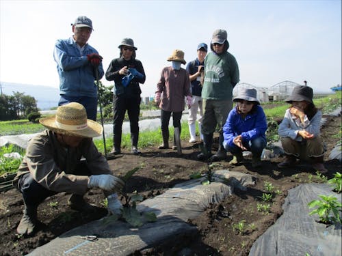 講師付き菜園もあるので初心者さんも安心!