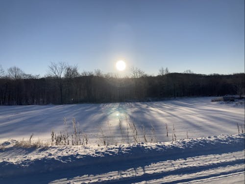 冬の朝の美しさは格別です