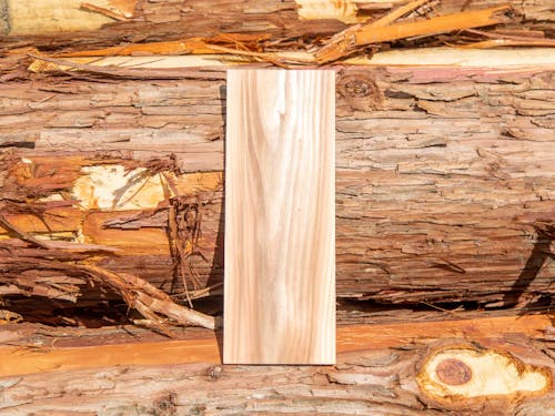 木材に優しい天然乾燥を用いて製造。 一般建材として利用可能な柱材、板材を扱っています。