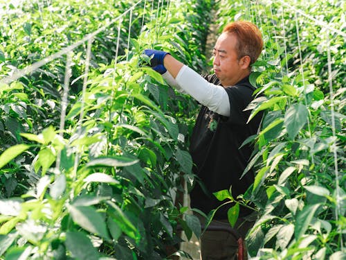 移住したい理由、移住後の理想を聞かせてください◎