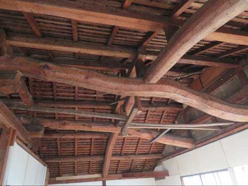 独特の曲がり具合に魅力が