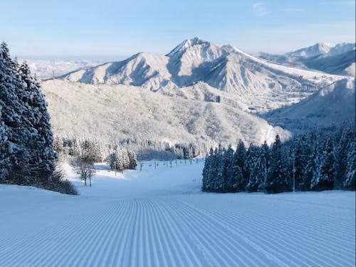 冬はスノーリゾートとしてたくさんの観光客が訪れる町です。