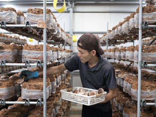 起業や複業、新しいチャレンジを応援する文化がある