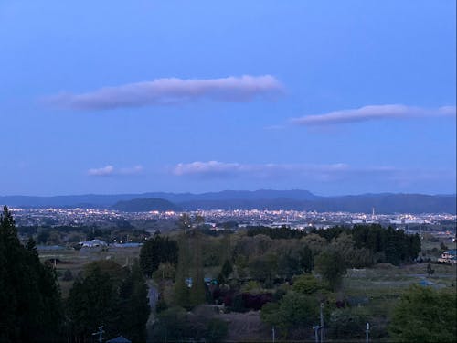 活動拠点のワイナリーから見える景色