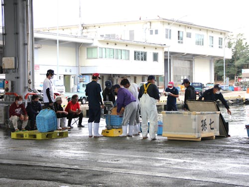 漁港って怖くないのかな?そんな素朴な質問もお待ちしています