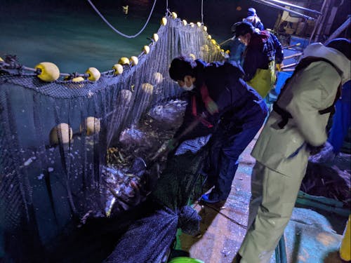 定置網漁の風景