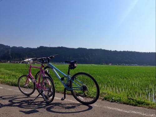 山に囲まれた田んぼが原風景