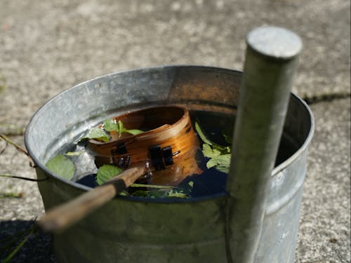 実は田舎にはいろんな関わり方があります。ちょっと足を踏み入れるところから始めてみませんか?