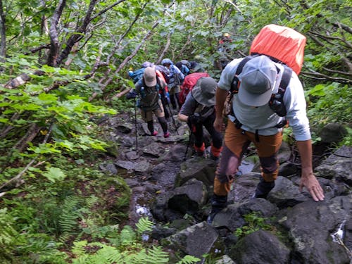 登山客をリードするガイド