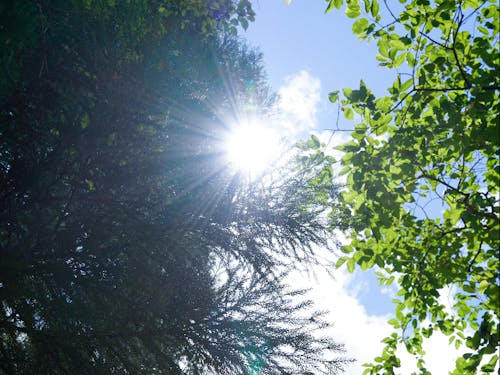 この日は暑い日でしたが、モリノ中は日陰になっていてすごく涼しかったですよ