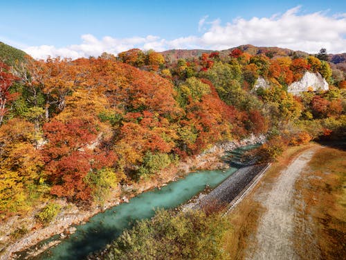 秋の高遠城址公園、もうすぐ燃えるような紅葉のシーズンです