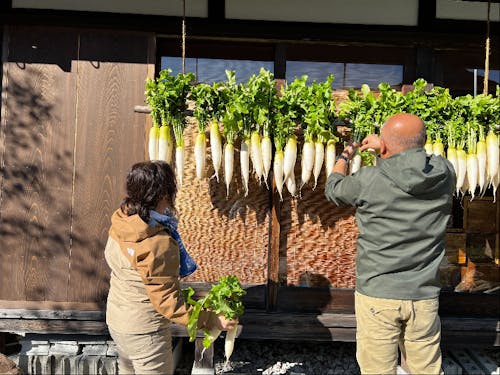 向井地区の毎年の冬の風景、「たくあんづけ」