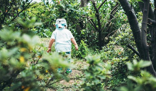 里山の畑をフィールドに食育をまじえた教育プロジェクト