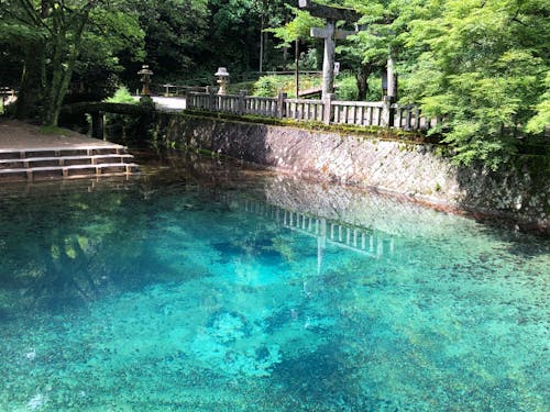 日本名水百選 別府弁天池