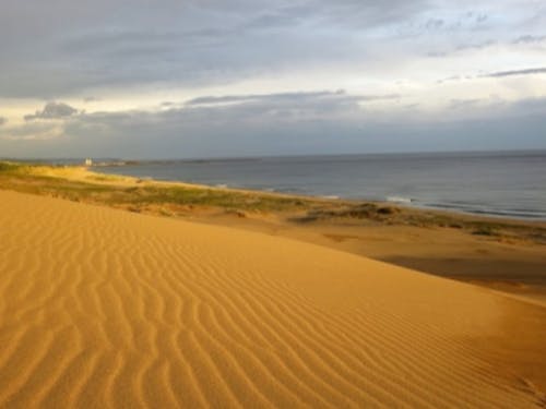 鳥取県 鳥取砂丘