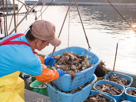山と海に囲まれた釜石市は牡蠣・ウニ・ワカメなどの海産物が豊富です