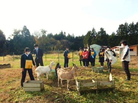 市内の学校でのSDGs学習（生き物と共生する農場の見学）