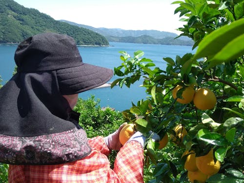 気になる地域、気になるミッションを探そう!