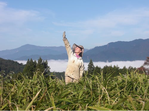 自然豊かな大豊町でお待ちしてます！