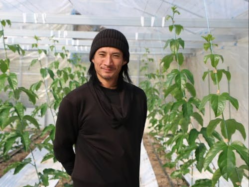 パッションフルーツ栽培