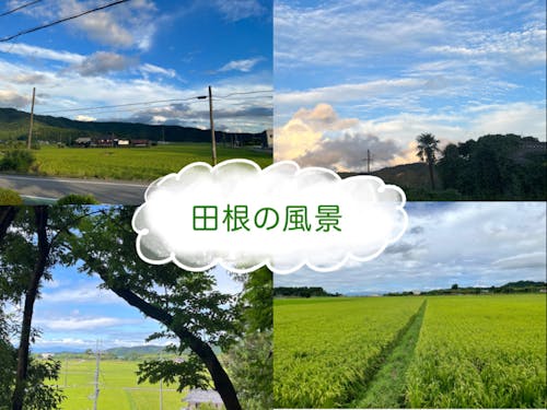 青空の下に広がるのどかな田園風景。