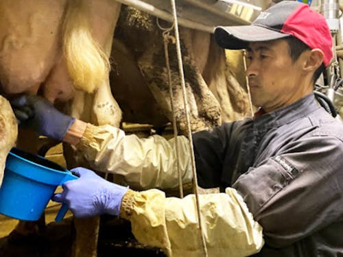 【畜産】畜産に興味がある方も、研修制度をご用意!