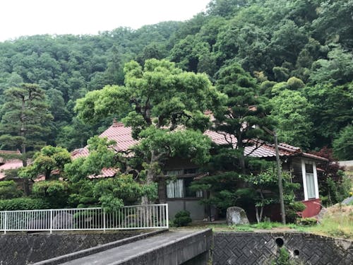  今年度のプロジェクトの予定地である羽須美地区にある空き家