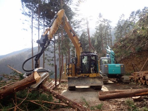 大川村の林業2