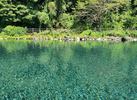 1日に9万トン以上も湧く!疎水百選竹中池