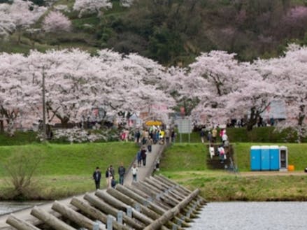木次の桜祭り